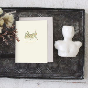 Hoppy Bday Birthday Card|Seedlings