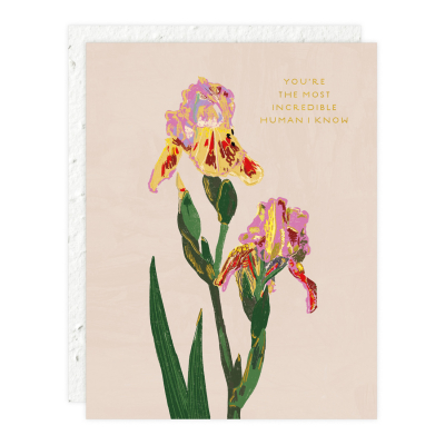 Whimsy Bloom Love And Friendship Card|Seedlings