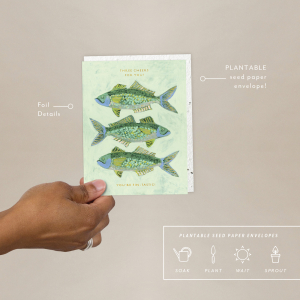 One Fish Two Fish Congratulations Card|Seedlings