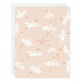 I So Appreciate You Thanks |Seedlings