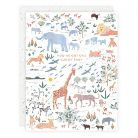 Lucky Baby Baby |Seedlings