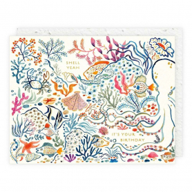 Shell, Yeah Birthday |Seedlings