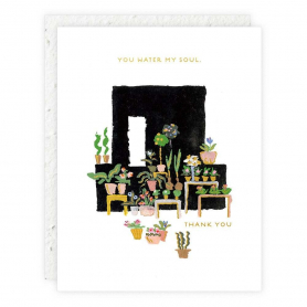 Fleuriste Thanks |Seedlings