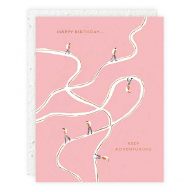 Adventurer Birthday |Seedlings