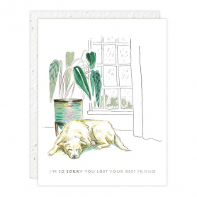 Best Friend Pet Symp |Seedlings
