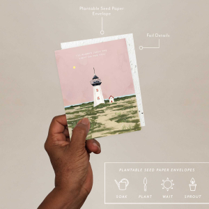 Lighthouse Love|Seedlings