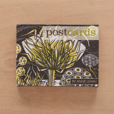 Wood Engravings Postcard Box|Art Angels