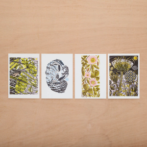 Wood Engravings Postcard Box|Art Angels