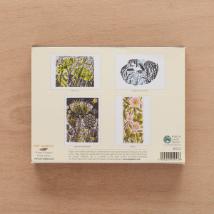 Wood Engravings Postcard Box|Art Angels