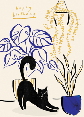 Cat And Plants