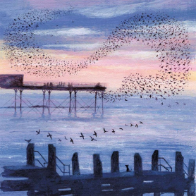 Murmurations
