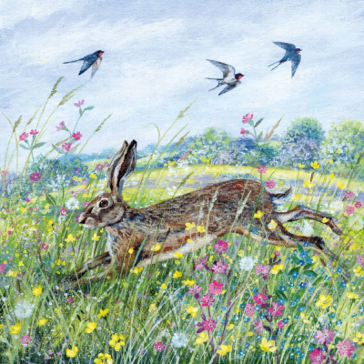Hare And Swallows