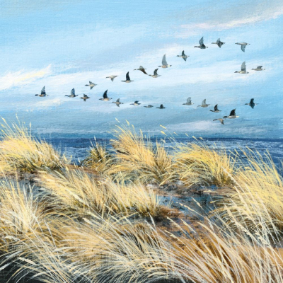 Wild Geese And Grasses