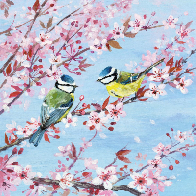 Blossom And Blue Tits