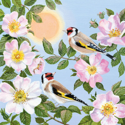 Wild Roses And Goldfinches