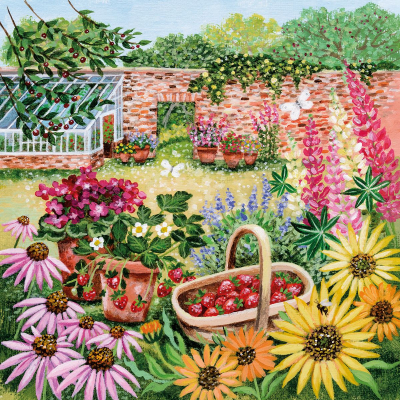 Walled Garden With Echinacea