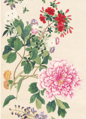 Profusion Of Flowers