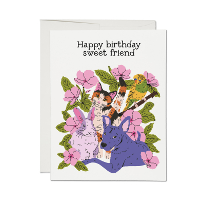 Sweet Friend Birthday Card|Red Cap Cards