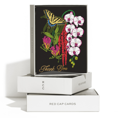 Swallowtail Thank You FOIL Boxed Set|Red Cap Cards