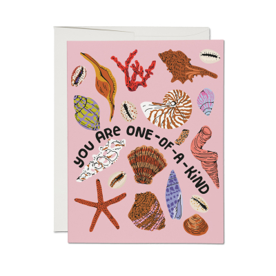 Special Seashell Friendship Card|Red Cap Cards