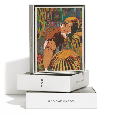 Red Fox Everyday boxed set|Red Cap Cards