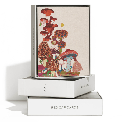 Frog and Fungi Everyday boxed set|Red Cap Cards