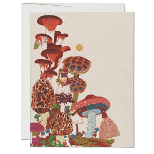 Frog and Fungi Everyday boxed set|Red Cap Cards