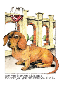 Red Wine Improves