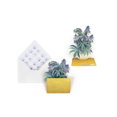 Herb Bouquet| UWP Luxe