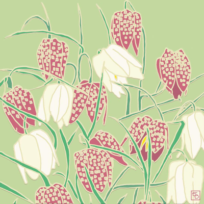 Fritillary