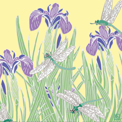 Dragonflies And Iris