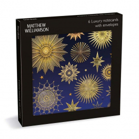 NOTECARD Square Lux Stardust