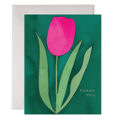 Pink Tulip