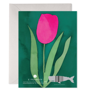 Pink Tulip