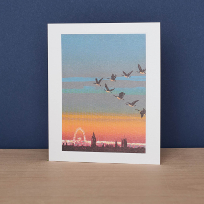 Migration Westminster|Art Angels