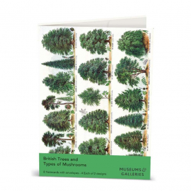 NOTECARD Rec Trees And Mushrooms