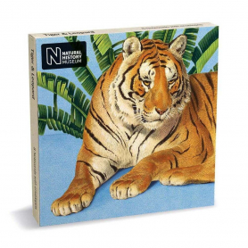 NOTECARD Square Tiger and Leopard