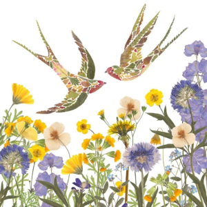 NOTECARD Square Birds