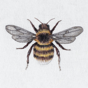 NOTECARD Square Embroidered Animals