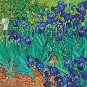 NOTECARD Square Vincent Van Gogh