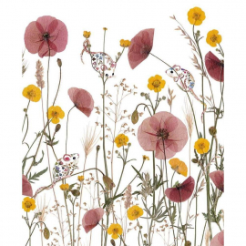 NOTECARD Rec Wild Press