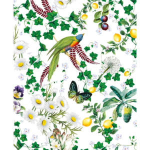 NOTECARD Rec Birds And Butterflies