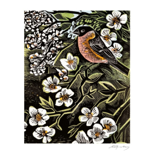 NOTECARD Rec Blossom And Berries