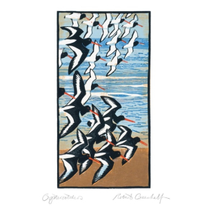 NOTECARD Rec Curlews And Oystercatchers