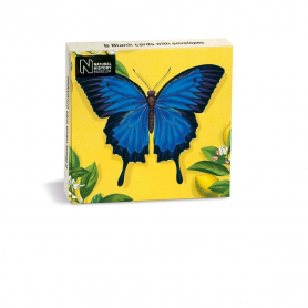NOTECARD Mini Wallet Ulysses Butterfly