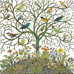 NOTECARD Square Theme Arts And Crafts Birds