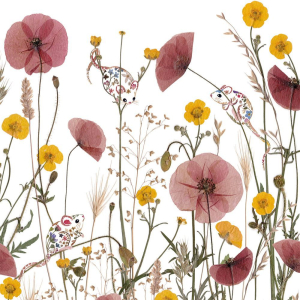 NOTECARD Square Theme Wild Press