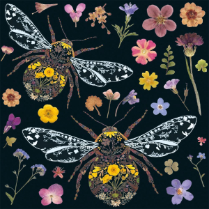 NOTECARD Square Theme Wild Press