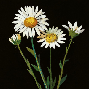 NOTECARD Square Theme Flowers By Mary Delany