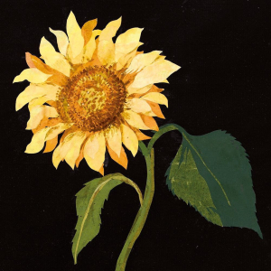 NOTECARD Square Theme Flowers By Mary Delany